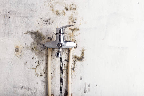 Best Post-Remediation Services in Lusk, WY