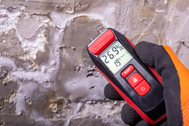 Best Post-Flood Mold Remediation in Lusk, WY